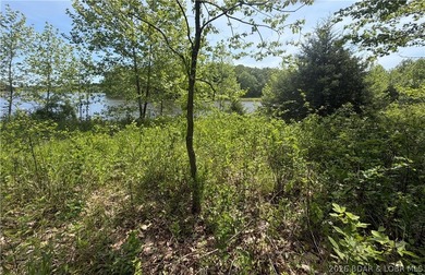 2.84 acres of gentle/flat, very buildable, lakefront land on the - photo 7