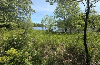 2.84 acres of gentle/flat, very buildable, lakefront land on the - photo 8