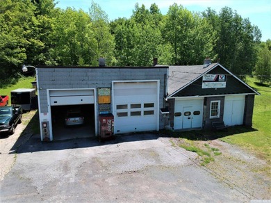 (private lake, pond, coastal) Commercial For Sale in Jewett New York