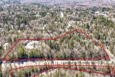  Commercial For Sale in Carrabassett Valley Maine