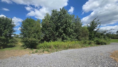 Lake Acreage For Sale in Hudson, Michigan