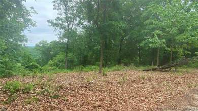 Looking for a build-ready lot overlooking Lake of the Ozarks - photo 4
