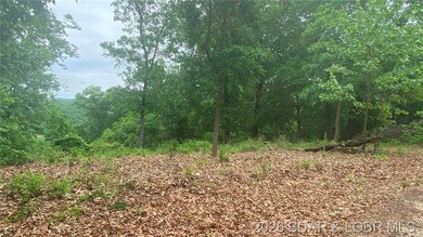 Looking for a build-ready lot overlooking Lake of the Ozarks - photo 4