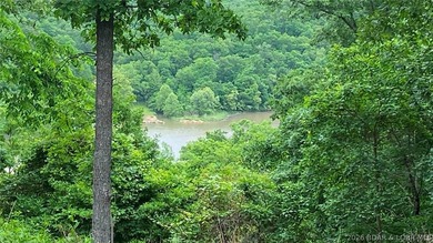 Looking for a build-ready lot overlooking Lake of the Ozarks - photo 5