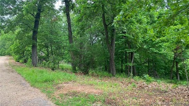 Looking for a build-ready lot overlooking Lake of the Ozarks - photo 6