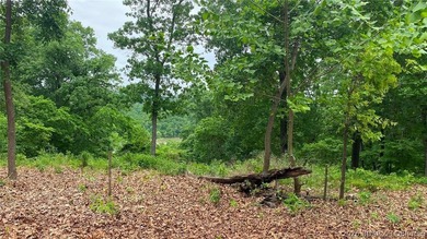 Looking for a build-ready lot overlooking Lake of the Ozarks - photo 8