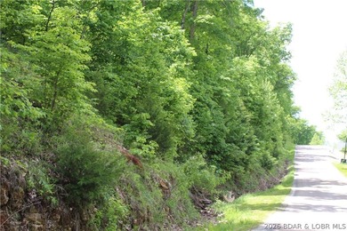 Looking for a build-ready lot overlooking Lake of the Ozarks - photo 9
