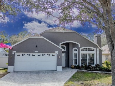 (private lake, pond, coastal) Home For Sale in Palm Harbor Florida