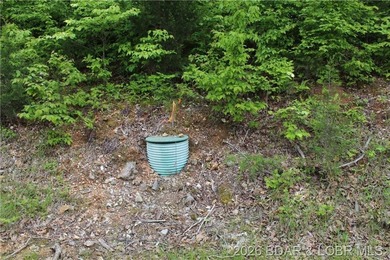 Looking for a large build-ready lot overlooking Lake of the - photo 5