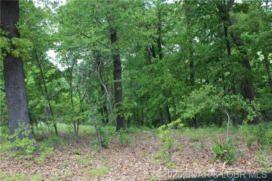 Looking for a large build-ready lot overlooking Lake of the - photo 7