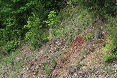 Looking for a large build-ready lot overlooking Lake of the - photo 8
