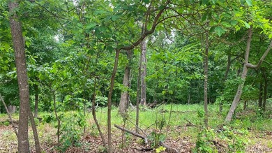 Looking for a large build-ready lot overlooking Lake of the - photo 9