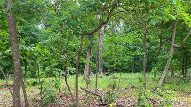 Looking for a large build-ready lot overlooking Lake of the - photo 9