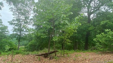 Looking for a large build-ready lot overlooking Lake of the - photo 10