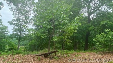 Looking for a large build-ready lot overlooking Lake of the - photo 10