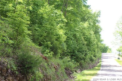 Looking for a large build-ready lot overlooking Lake of the - photo 4