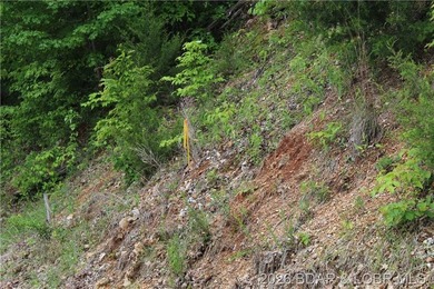 Looking for a large build-ready lot overlooking Lake of the - photo 5