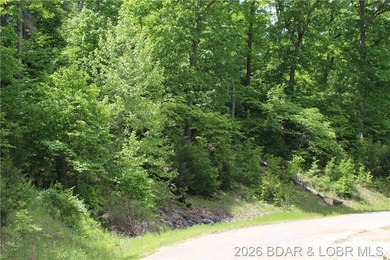 Looking for a large build-ready lot overlooking Lake of the - photo 6