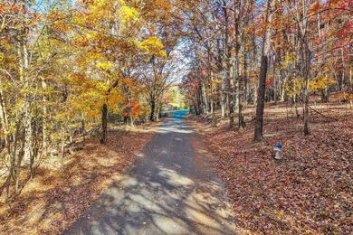SUPERIOR LOCATION! 52.56 Acres for Sale Zoned R3 (37.34 Acres) - photo 1