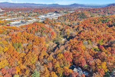 SUPERIOR LOCATION! 52.56 Acres for Sale Zoned R3 (37.34 Acres) - photo 5