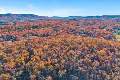 SUPERIOR LOCATION! 52.56 Acres for Sale Zoned R3 (37.34 Acres) - photo 9