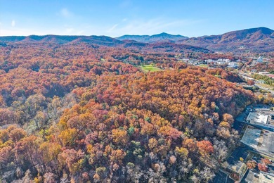 SUPERIOR LOCATION! 52.56 Acres for Sale Zoned R3 (37.34 Acres) - photo 10