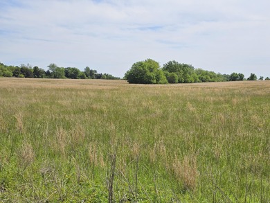 (private lake, pond, creek) Acreage For Sale in Seneca Missouri