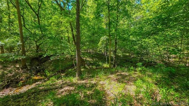 Premier Level Lot in Prestigious Porto Cima! Build your dream - photo 4