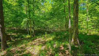 Premier Level Lot in Prestigious Porto Cima! Build your dream - photo 5