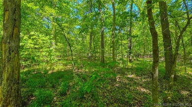 Premier Level Lot in Prestigious Porto Cima! Build your dream - photo 6