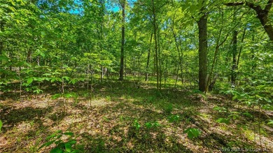 Premier Level Lot in Prestigious Porto Cima! Build your dream - photo 8