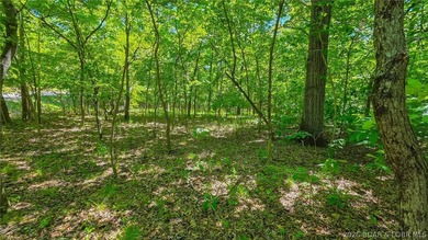 Premier Level Lot in Prestigious Porto Cima! Build your dream - photo 9