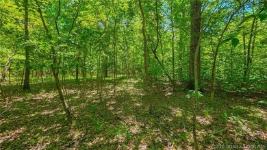 Premier Level Lot in Prestigious Porto Cima! Build your dream - photo 10