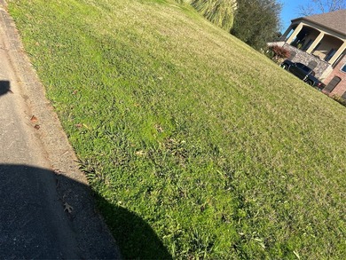Mirador Cir - photo 2