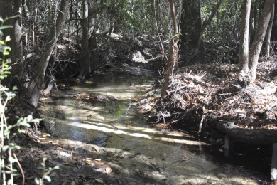 Lake Acreage For Sale in Crestview, Florida