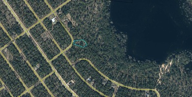 Blue Homestead Lake  Lot Sale Pending in Chipley Florida