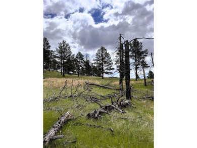 Exceptional 35.06-acre tract located along the quiet stretch of - photo 2