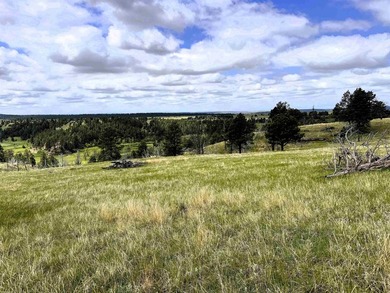 Exceptional 35.06-acre tract located along the quiet stretch of - photo 3