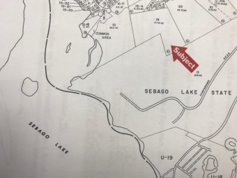 Brandy Pond Acreage For Sale in Naples Maine