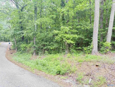 Lake Lot For Sale in Scottsboro, Alabama