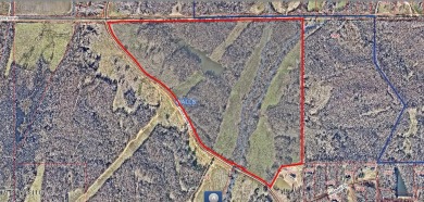 (private lake, pond, creek) Acreage For Sale in Walls Mississippi