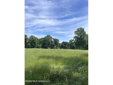 DEVELOPMENT OPPORTUNITY! Located on the Southeast corner of - photo 2