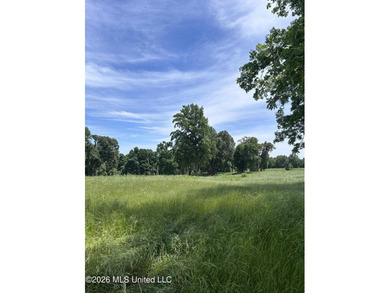 DEVELOPMENT OPPORTUNITY! Located on the Southeast corner of - photo 3