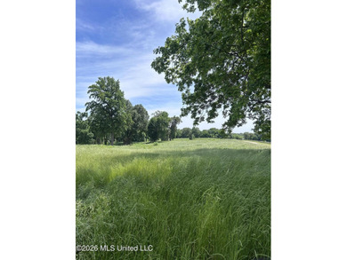 DEVELOPMENT OPPORTUNITY! Located on the Southeast corner of - photo 4