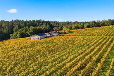 Lakeview Vineyard is a stunning 17-Acre Estate with a Pinot Noir - photo 20
