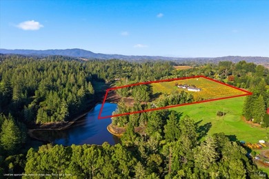 Lakeview Vineyard is a stunning 17-Acre Estate with a Pinot Noir - photo 22