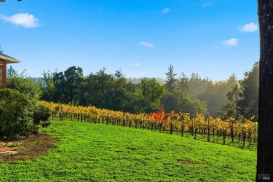 Lakeview Vineyard is a stunning 17-Acre Estate with a Pinot Noir - photo 25