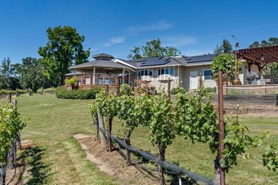 Lakeview Vineyard is a stunning 17-Acre Estate with a Pinot Noir - photo 31