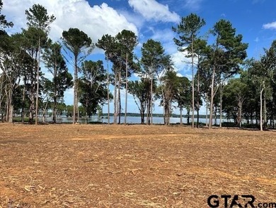 Lake Lot For Sale in Frankston, Texas