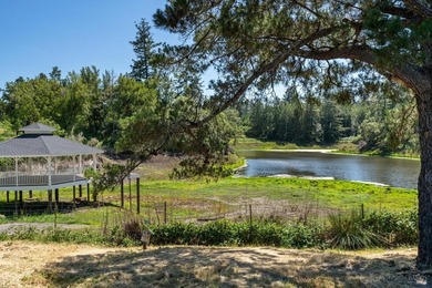 Lakeview Vineyard is a stunning 17-Acre Estate with a Pinot Noir - photo 34